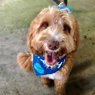 My birthday was a big hit from all my friends ! Thanks granny!