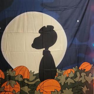 Halloween night