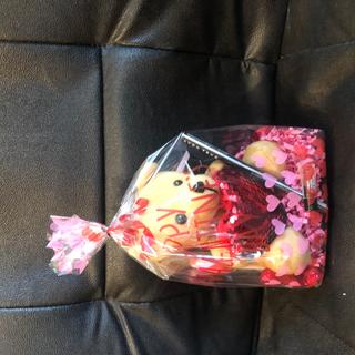 Valentine’s Day gift bag