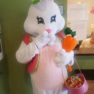 Babette Bunny