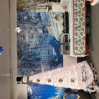 Winter wonderland