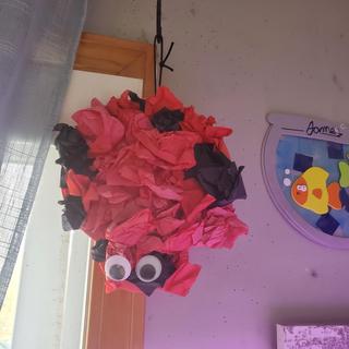Lady bug