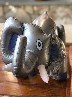 Sad elephant