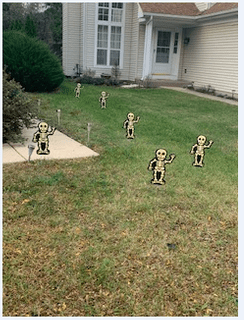 Bones in the yard!