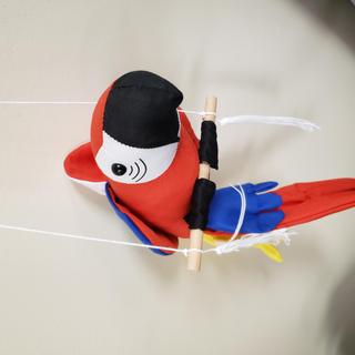 Parrot