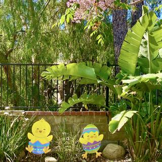Love these adorable Easter chick yard signs! 🐣