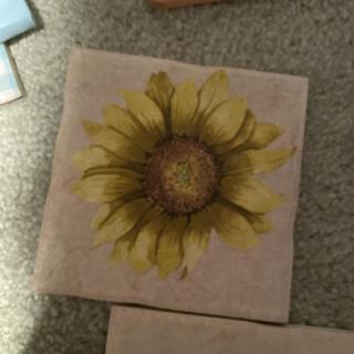 Beautiful sunflower