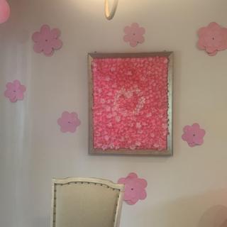 Backdrop