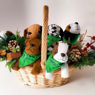 Mini 'Therapy' Dogs
