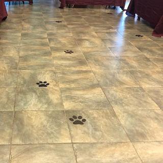 Paw Prints