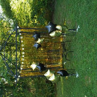 Gazebo with backdrop