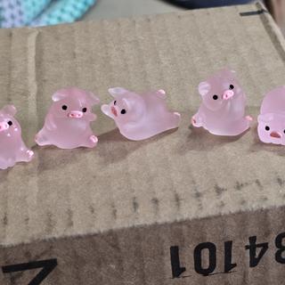 Different poses of piggies