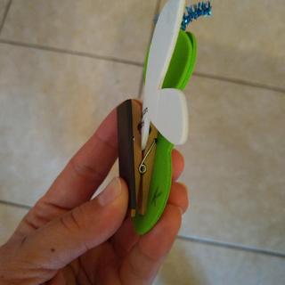 Clip on wings
