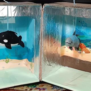 Aquarium 1
