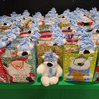 Bears, bears and more bears!