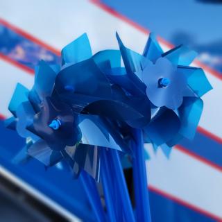 Pinwheel Bundle