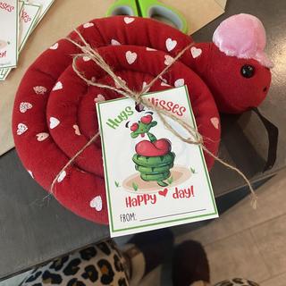 Snake with valentines cards ordered from Etsy