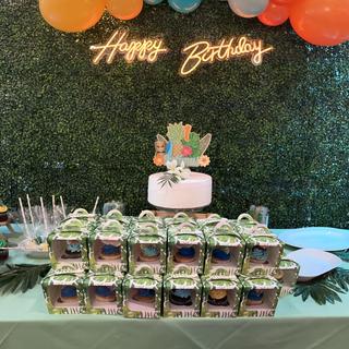 Cupcakes prepped in boxes