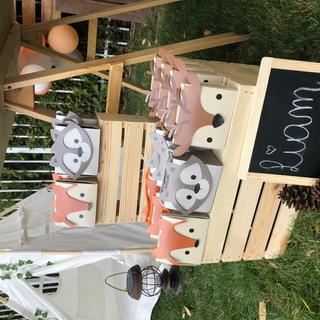 Favors bags
