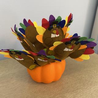 Turkey Display