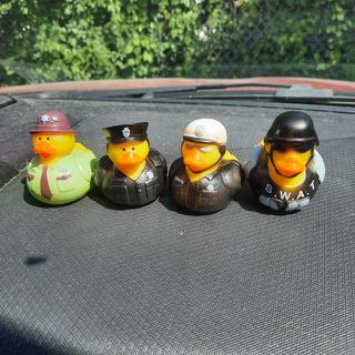 Our ducks all in a row! 😆