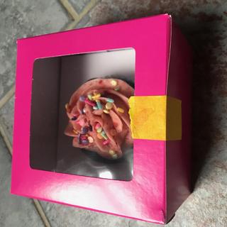 cupcake box all packed up