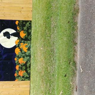 My fence looks great