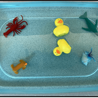 Ducks that don’t float