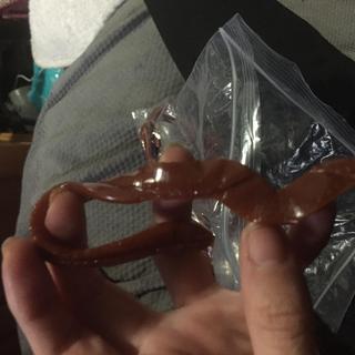 Supposed to be worm