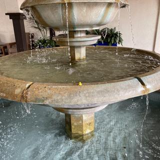 Fountain Ducky