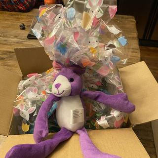 A rabbit for our widow boxes