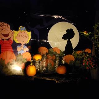 The Great Pumpkin!