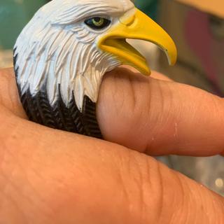 Eagle ring