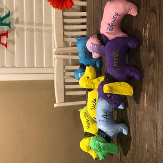 Everyone picked a theme for their PUPS!