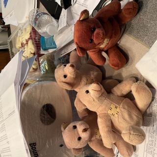 bears