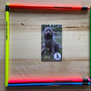 Ziva is proud of her pencils!