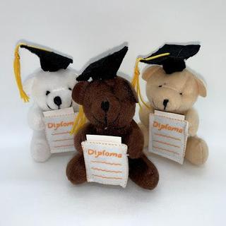 Graduation Stuffed Bears with Diploma Pocket
