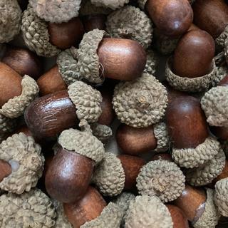 Faux Acorns with Real Acorn Caps