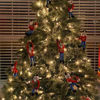 2020 Nutcracker Theme