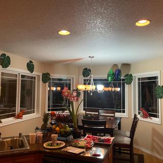 Jurassic World party