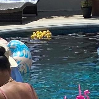 More dead ducks