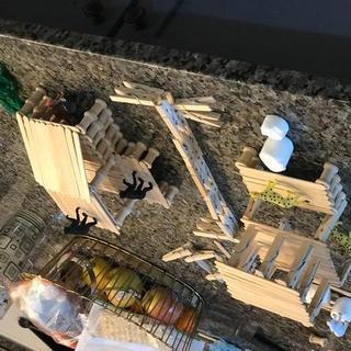 Housing for animals 