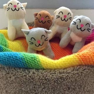 Adorable cats!