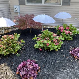Umbrella garden shades