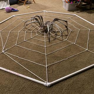 Making a web