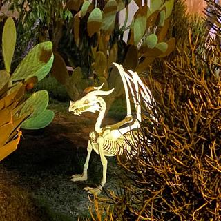 Dragon Skeleton