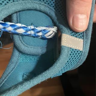 Sewed on