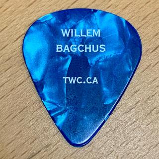 My personalized guitar picks from Oriental Trading Co.