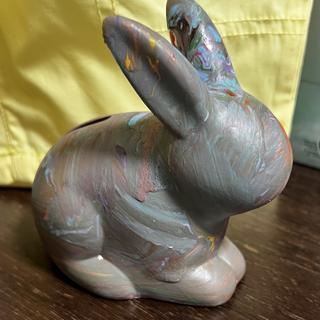 Bunny project