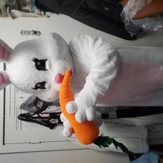 Carrot break!